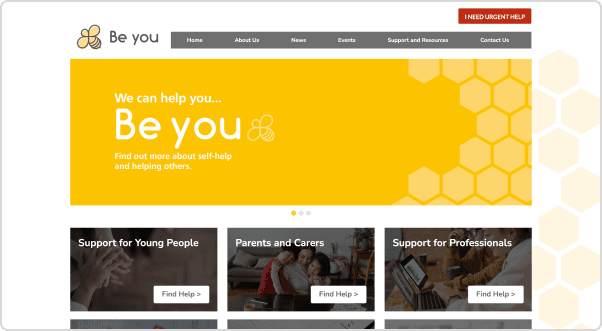 NHS Trailblazers Desktop 1