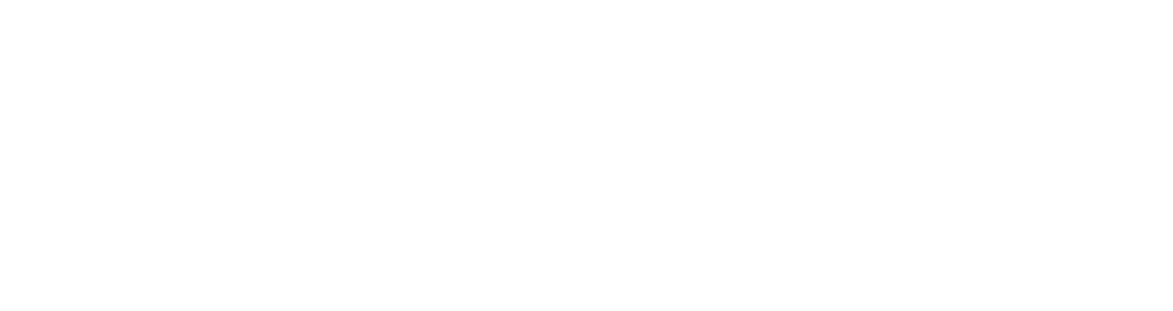 The SKIN App Logo White