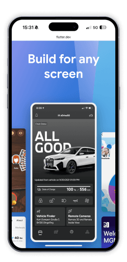Flutter image on iphone